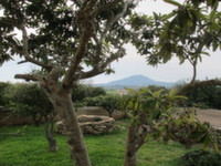 Son Cifre - Felanitx (Mallorca)
