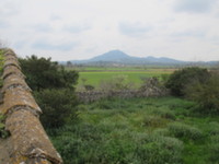 Son Cifre - Felanitx (Mallorca)