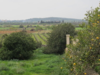 Son Cifre - Felanitx (Mallorca)