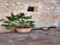 Son Cifre - Felanitx (Mallorca)
